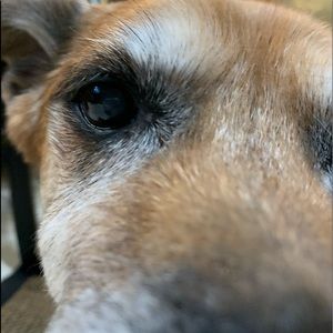 Meet your Posher, Eve